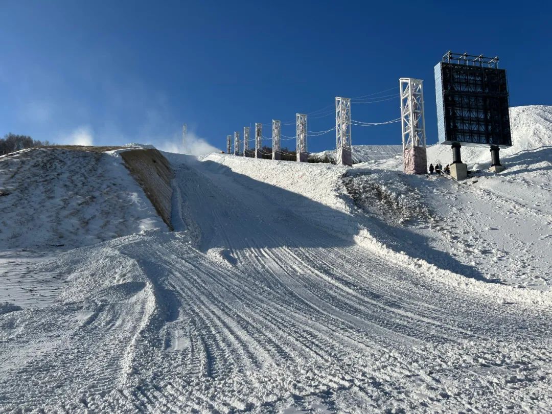 自由式滑雪_阿尔卑斯山式滑雪_爆发 极限自由滑雪