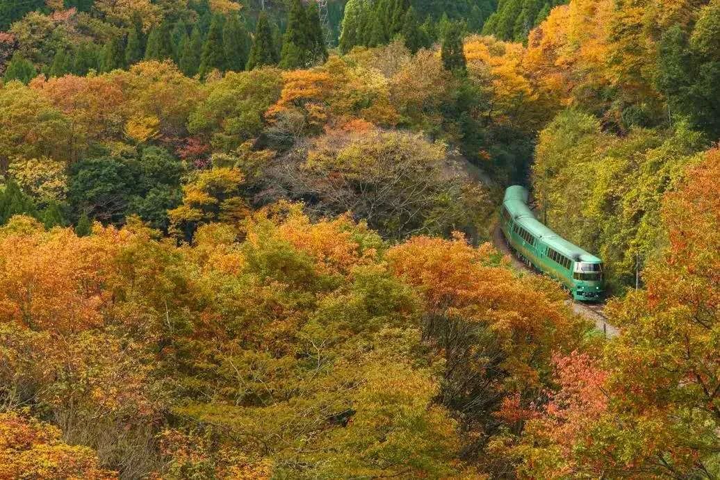 日本出遊長草進行時 | 九州10大親子勝地 旅遊 第8張