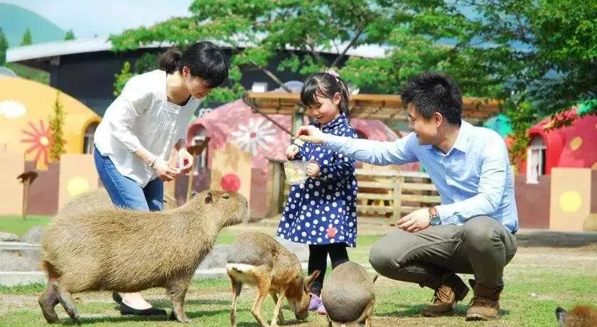 日本出遊長草進行時 | 九州10大親子勝地 旅遊 第22張