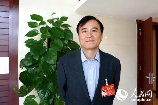 全国人大代表、江淮汽车董事长安进 &nbsp;（人民网记者 张磊 摄）
