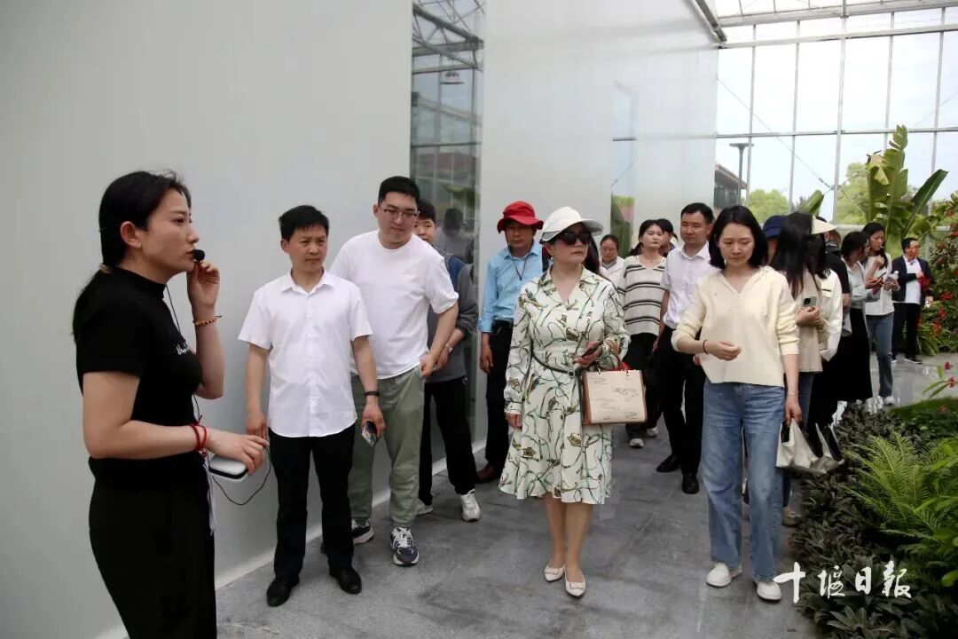 解锁新闻奖秘籍、短视频玩法……十堰人速来参加！