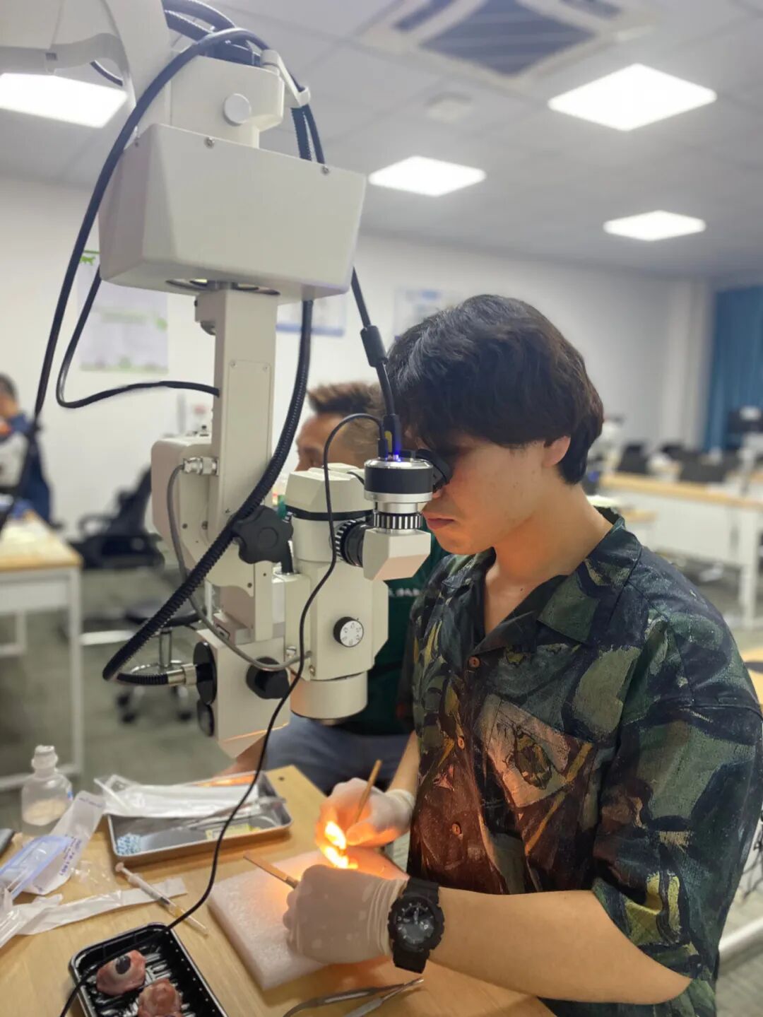 眼科ab超怎么使用12月开班 ｜ 人手1台显微镜，增设眼部B超环节，快速入门小动物眼科_https://www.jmylbn.com_新闻资讯_第12张