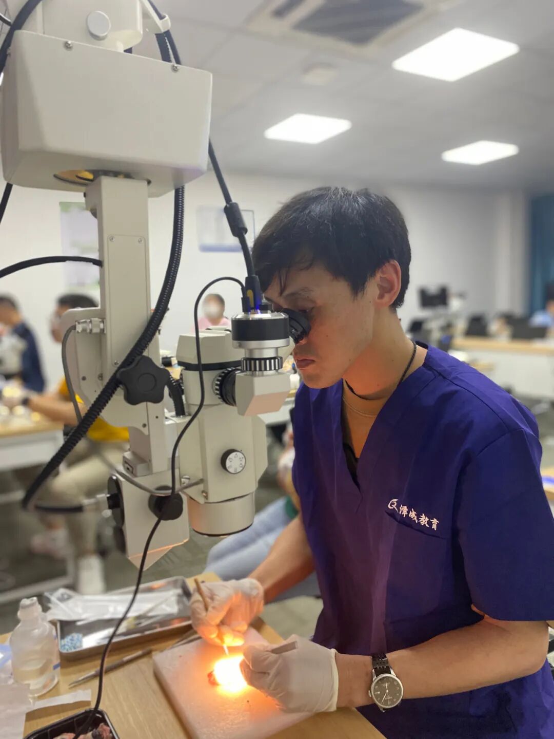 眼科ab超怎么使用12月开班 ｜ 人手1台显微镜，增设眼部B超环节，快速入门小动物眼科_https://www.jmylbn.com_新闻资讯_第13张