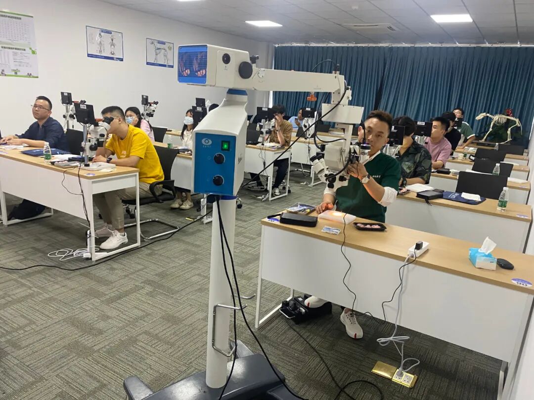 眼科ab超怎么使用12月开班 ｜ 人手1台显微镜，增设眼部B超环节，快速入门小动物眼科_https://www.jmylbn.com_新闻资讯_第6张