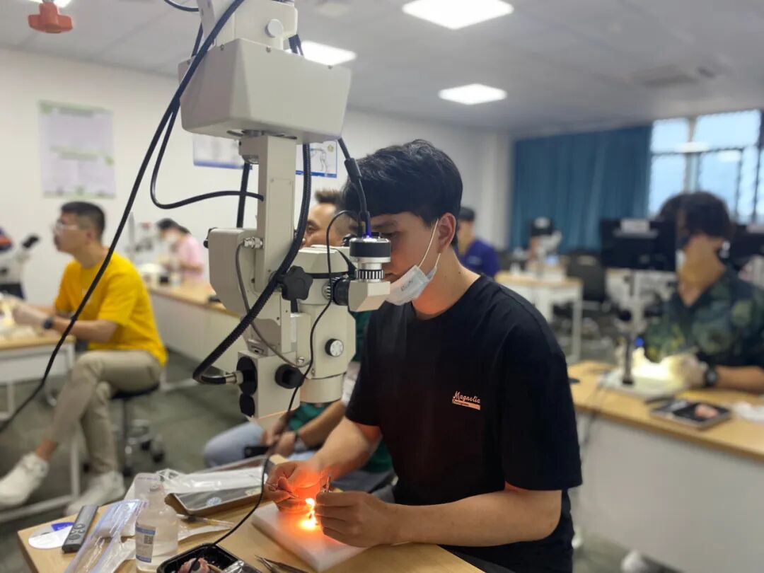 眼科ab超怎么使用12月开班 ｜ 人手1台显微镜，增设眼部B超环节，快速入门小动物眼科_https://www.jmylbn.com_新闻资讯_第11张