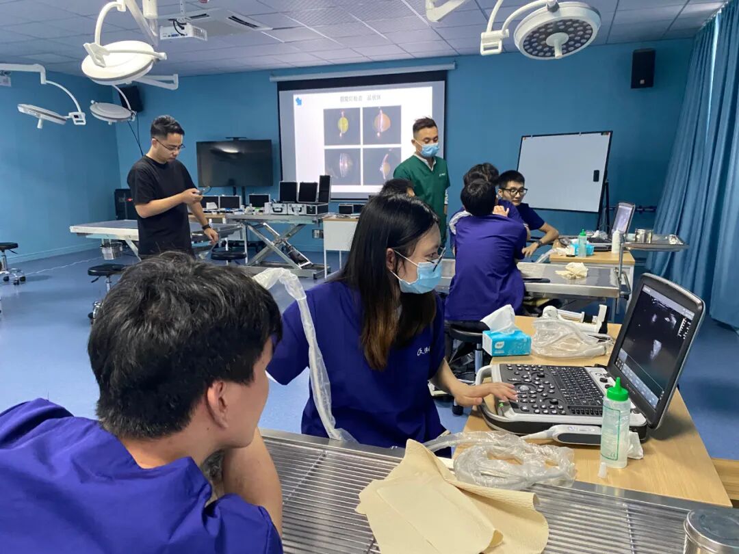 眼科ab超怎么使用12月开班 ｜ 人手1台显微镜，增设眼部B超环节，快速入门小动物眼科_https://www.jmylbn.com_新闻资讯_第9张