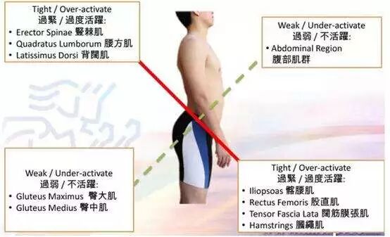 【美女】她靠颜和肉就能踏平宇宙，拒绝嫁到贝克汉姆家！（组图） - 65
