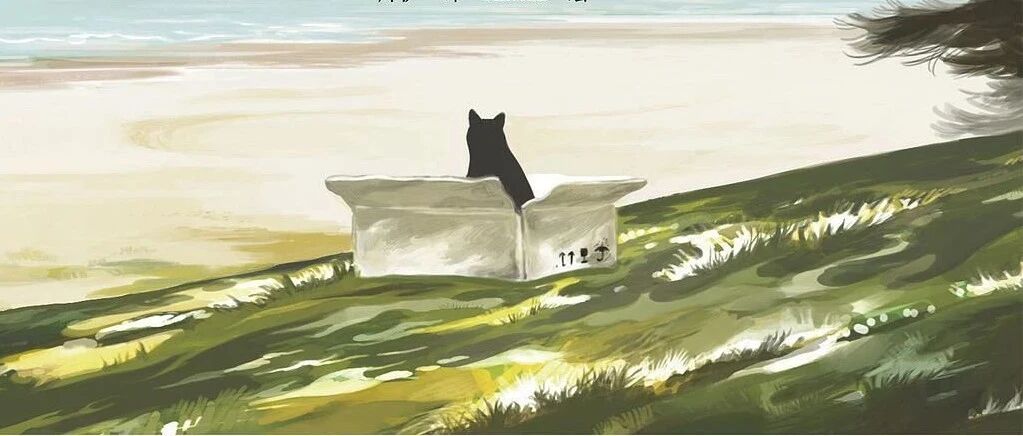 《弃猫》藏着村上春树 最沉重的两件心事