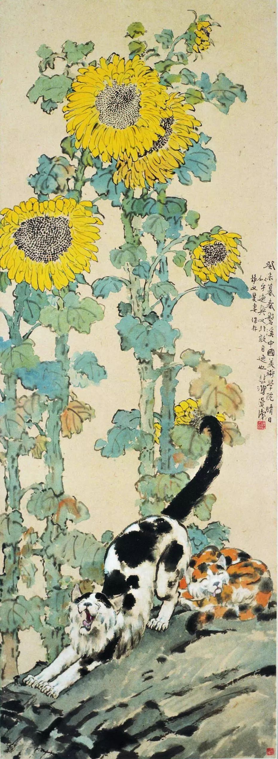 徐悲鸿先生画笔下的小花猫(图9)