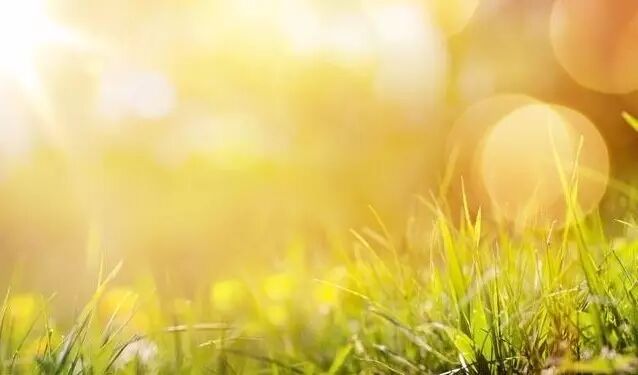 夏天是告别阳虚的最佳时间