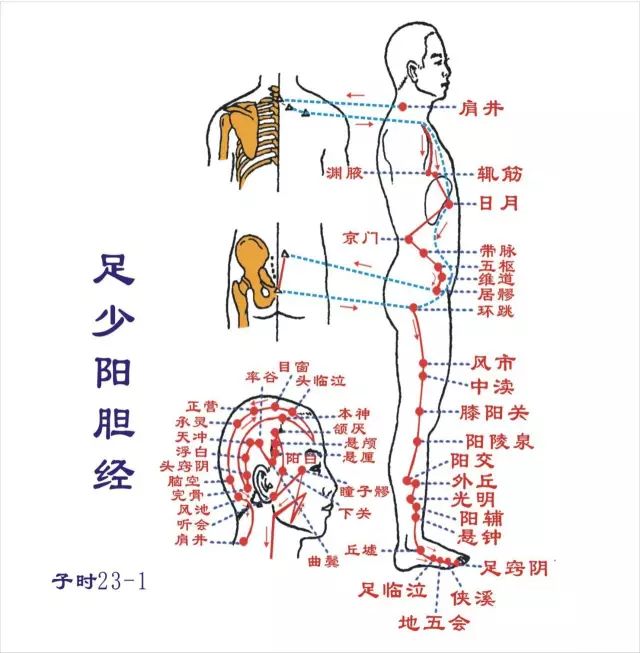 這樣敲膽經：生陽氣、補氣血、扶正氣 健康 第1張