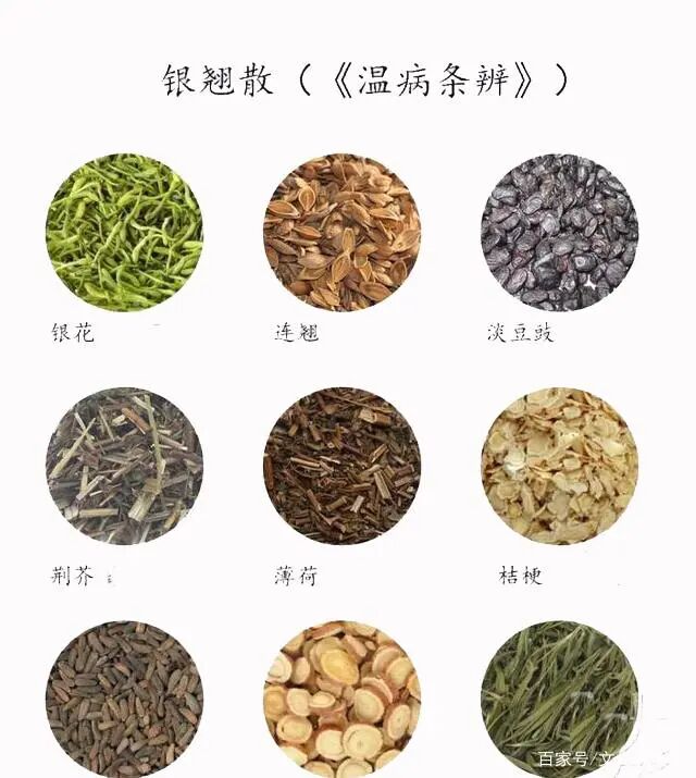 春天的风热感冒，有一个好用的中成药