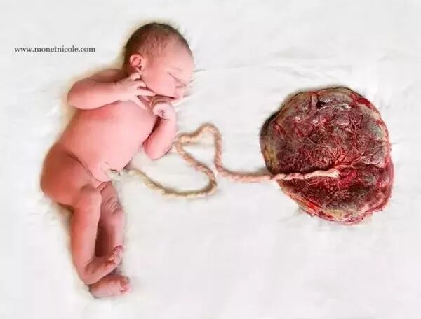 为什么剪脐带要先夹住脐带这么剪，宝宝受益一辈子！_https://www.jmylbn.com_新闻资讯_第21张