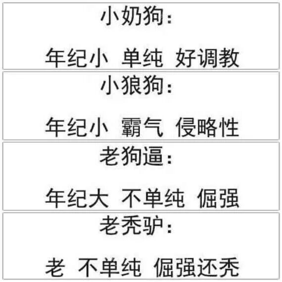 网络梗科普：“小奶狗”究竟是什么？