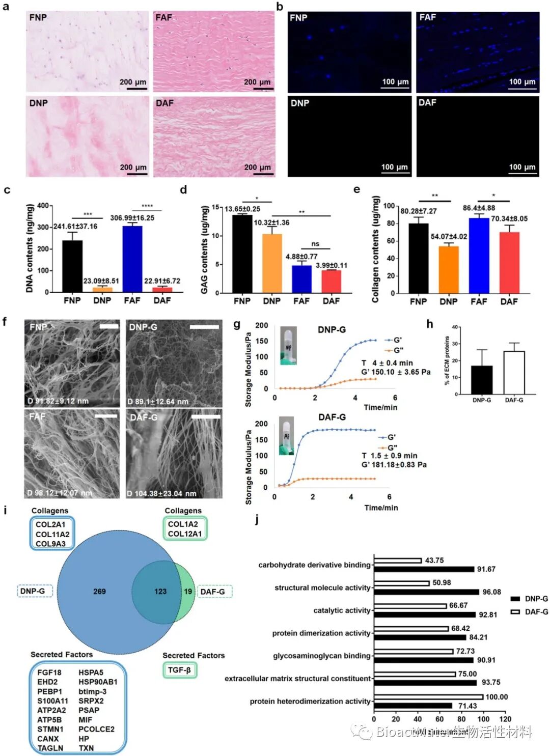 医用诱导骨基质是什么椎间盘基质水凝胶诱导人骨髓间充质干细胞组织特异性分化和组织再生修复｜Bioactive Materials_https://www.jmylbn.com_新闻资讯_第2张