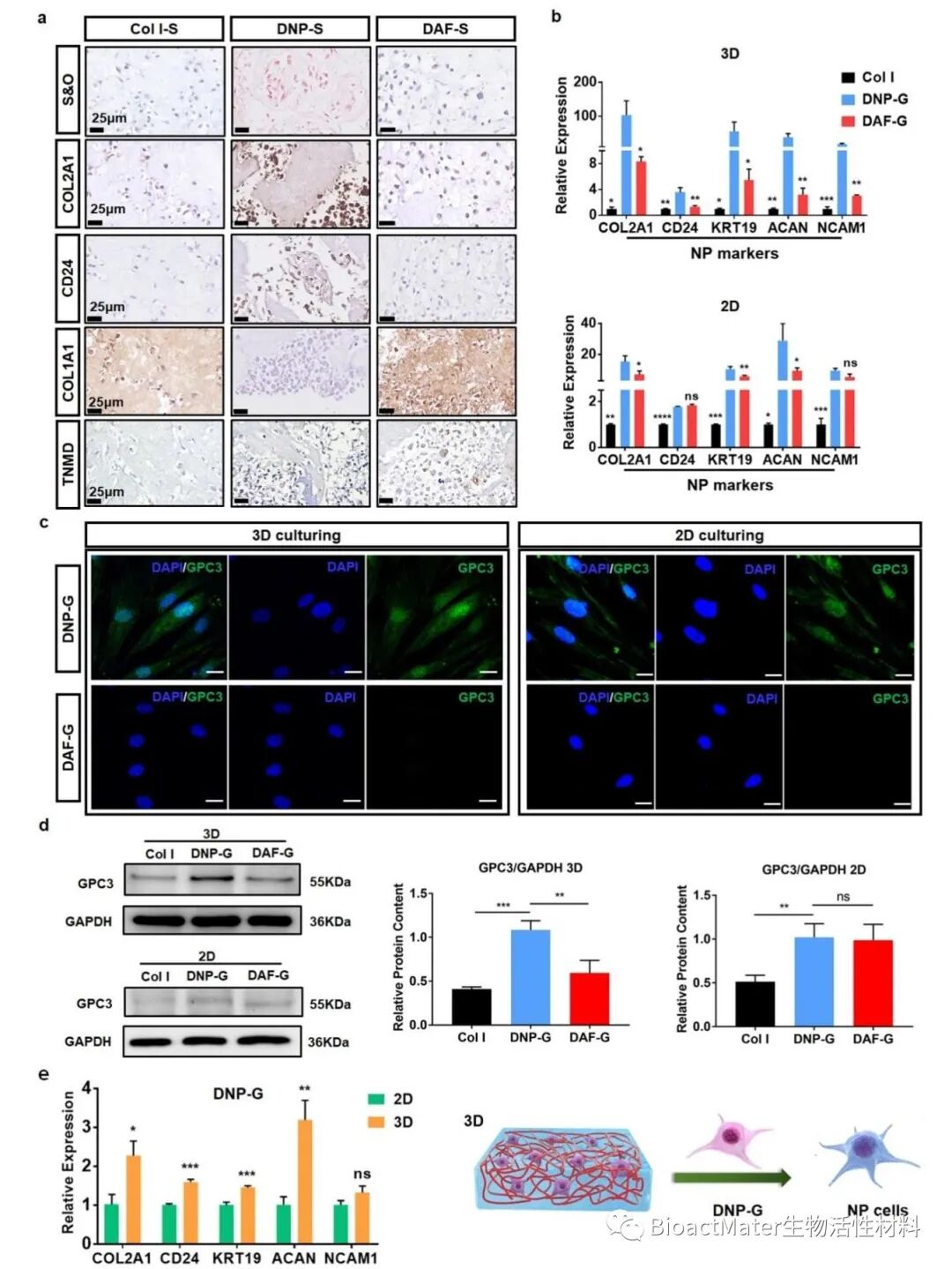 医用诱导骨基质是什么椎间盘基质水凝胶诱导人骨髓间充质干细胞组织特异性分化和组织再生修复｜Bioactive Materials_https://www.jmylbn.com_新闻资讯_第3张