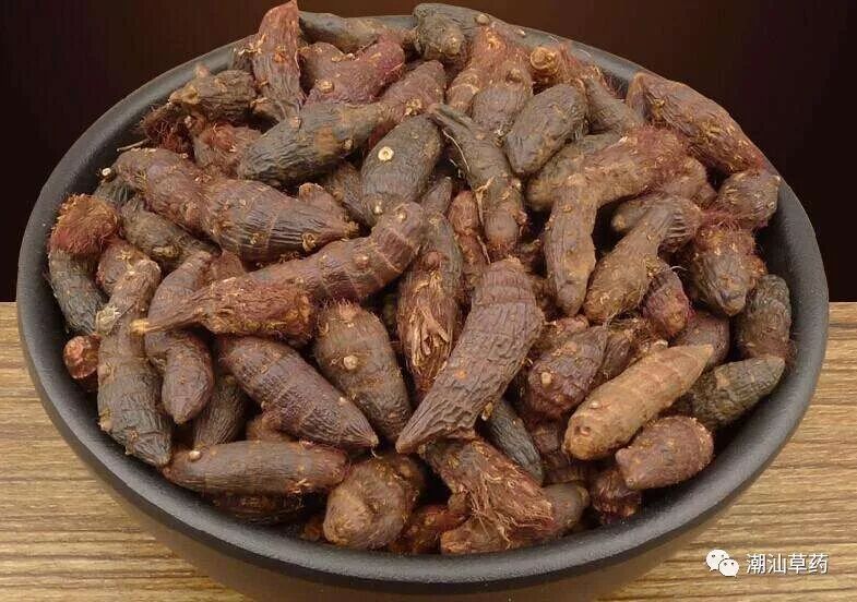 【潮汕草药】香附子