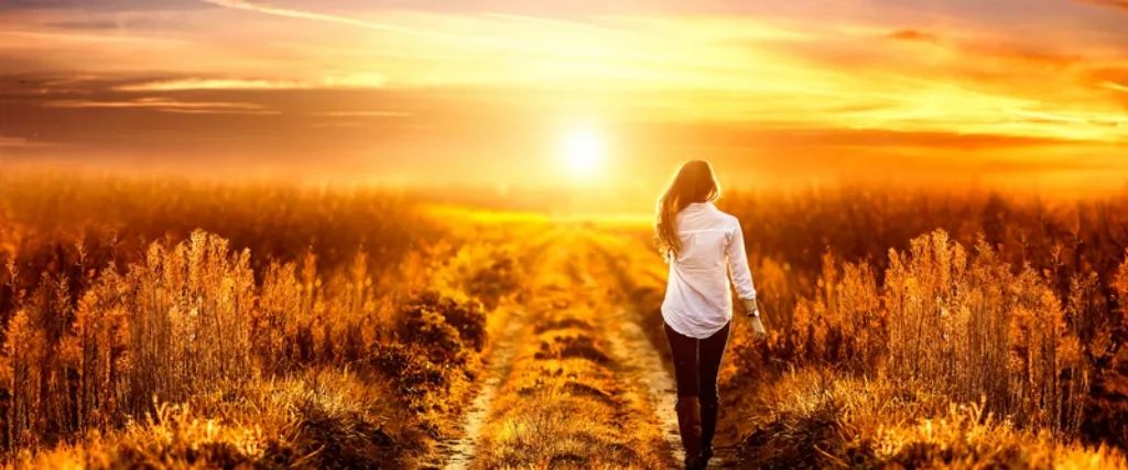 浙江大学要是录取了姜萍，教育就成了富二代们的玩物了