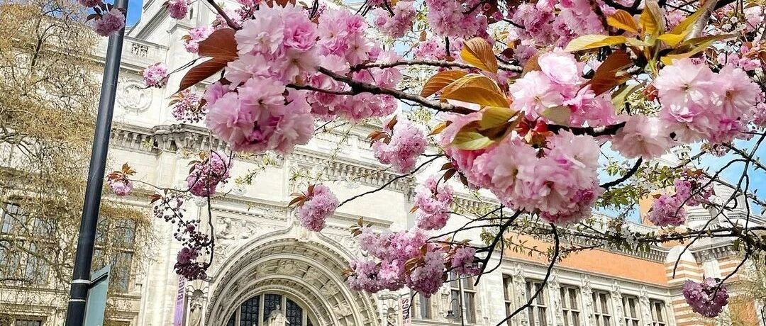 最美春天，伦敦醒了