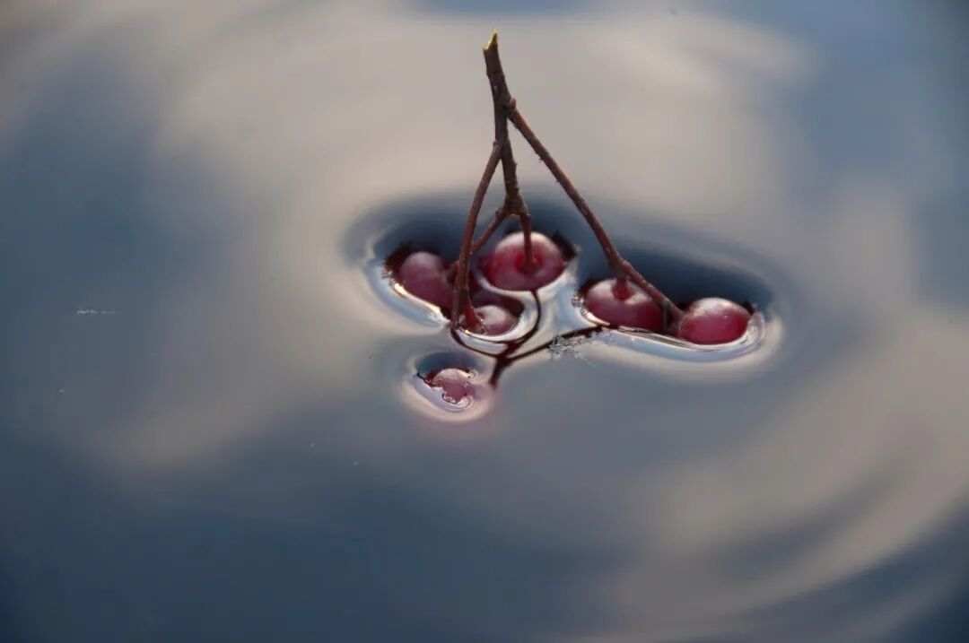 表面对流换热系数_水表面张力系数实验_水的表面张力系数是多少