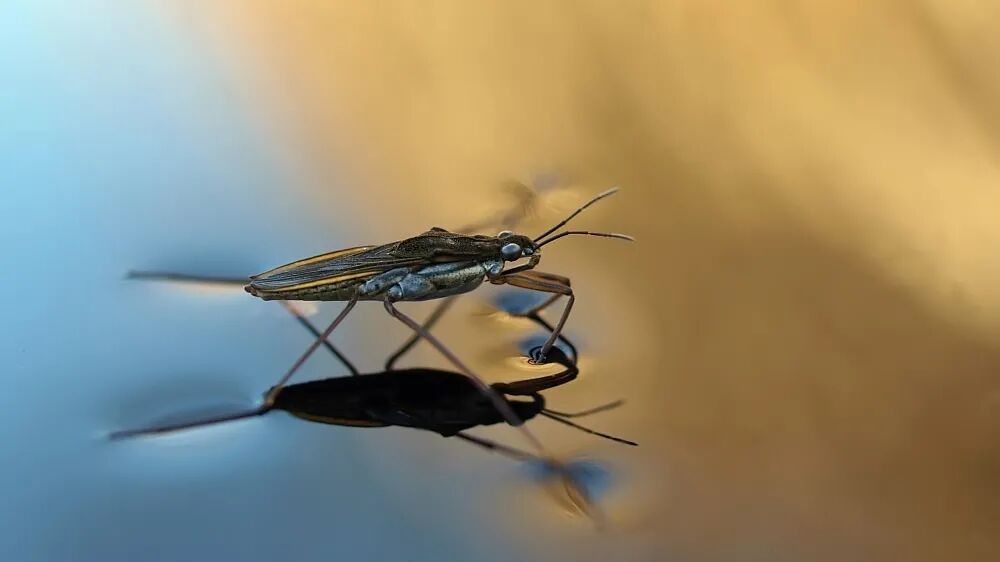 水表面张力系数实验_水的表面张力系数是多少_表面对流换热系数