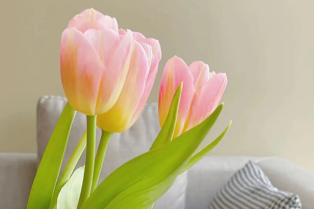 rg皇家视讯股份公司进行首届“敢超”杯棋类角逐活动(图3)