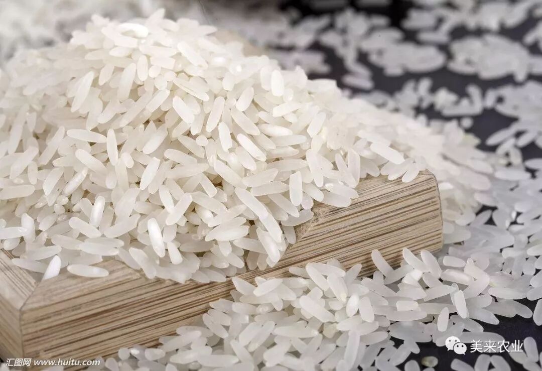 大米知识丨大米长虫子背后真相 美来农业 微信公众号文章阅读 Wemp