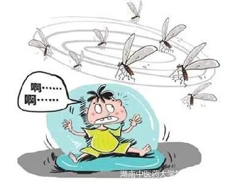 湖南省中医院自制驱蚊防虫中药香囊让你远离蚊虫叮咬