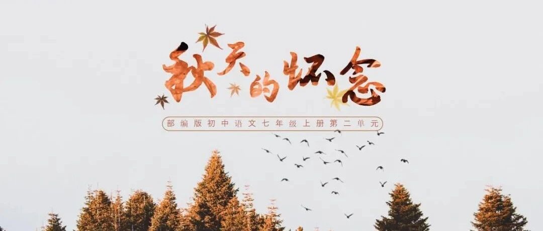 【青春语文·时慧慧专栏】殚竭心力终为子，可怜天下父母心——《秋天的怀念》教学设计