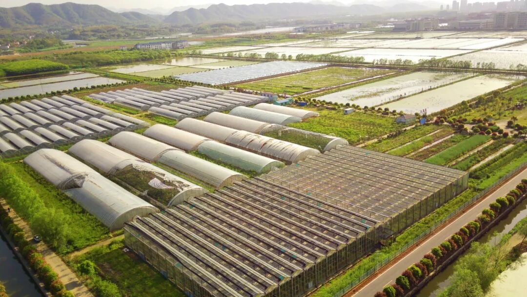 农业创业好项目_农业创业项目应遵循什么原刚_农村农业创业项目