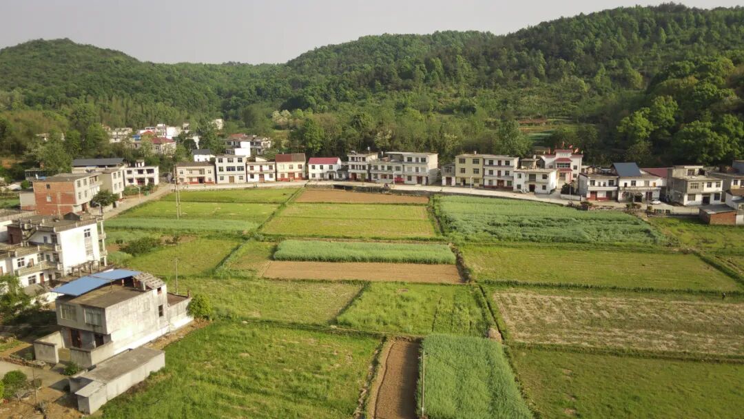 农业创业项目应遵循什么原刚_农村农业创业项目_农业创业好项目