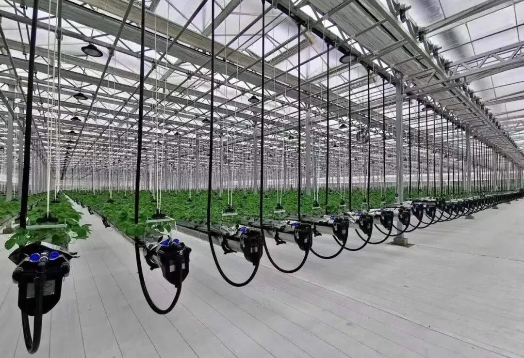 农业创业项目应遵循什么原刚_农村农业创业项目_农业创业好项目