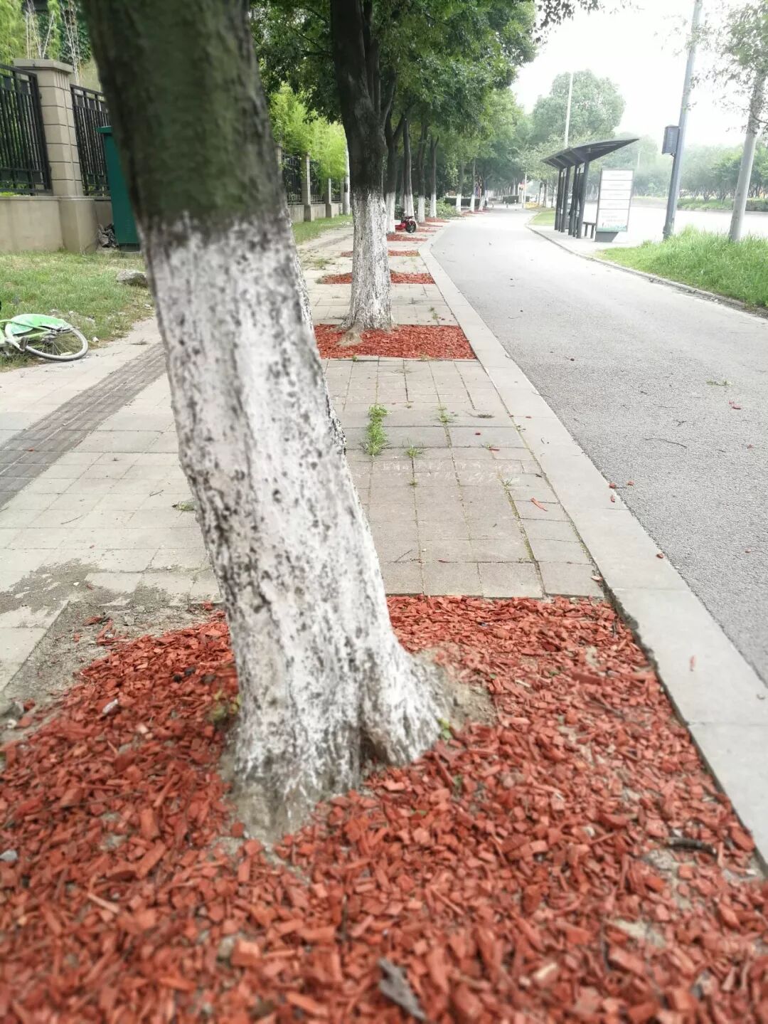 2019昆山园林生态创新论坛报名活动正式开启