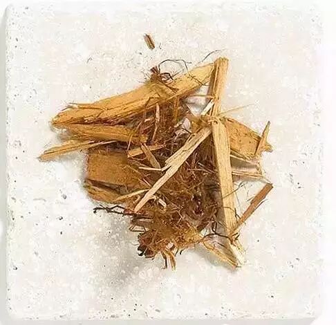 解析园林覆盖物——落叶化土，回馈自