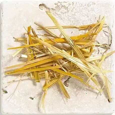 解析园林覆盖物——落叶化土，回馈自