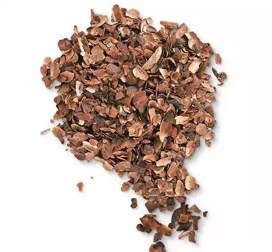 解析园林覆盖物——落叶化土，回馈自