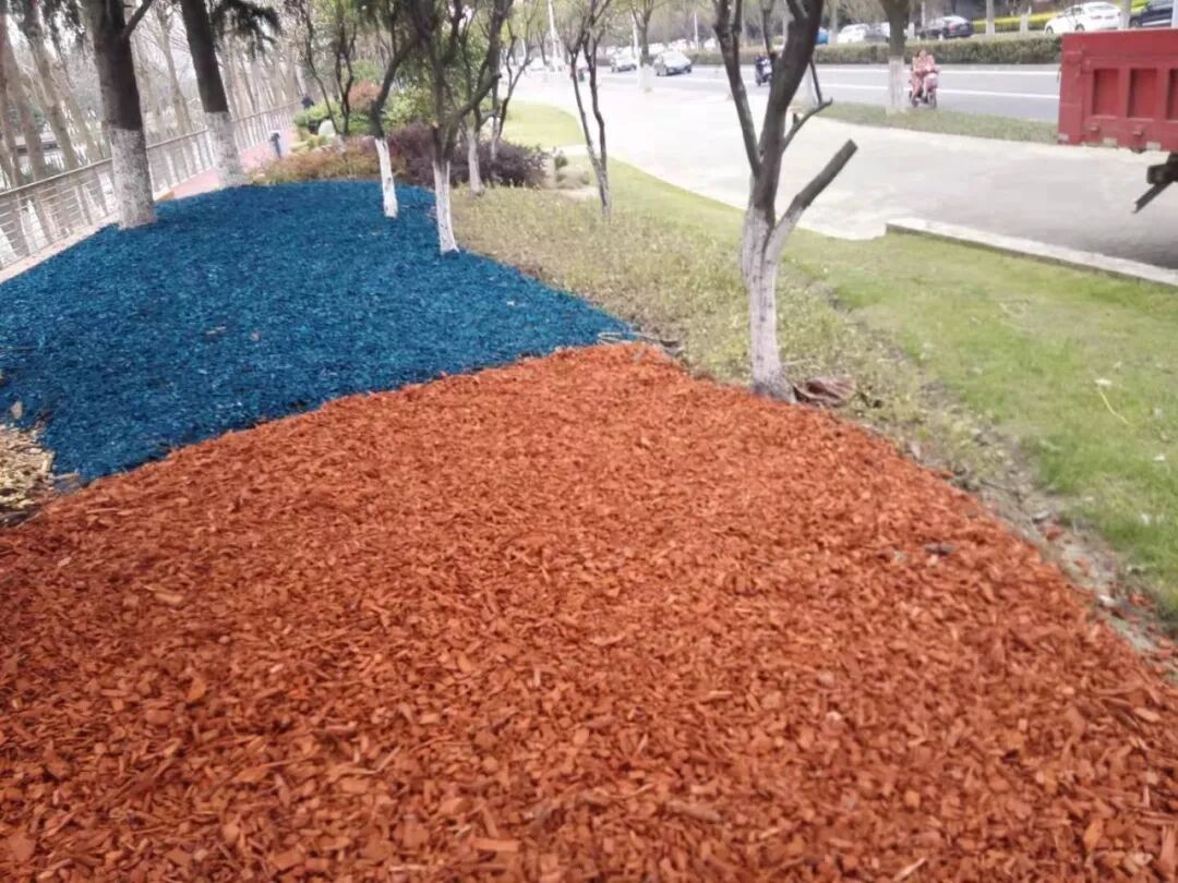 溧阳园林局领导参观昆山合纵生态