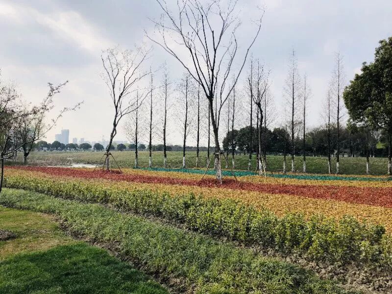 无锡市领导莅临昆山合纵生态参观指导