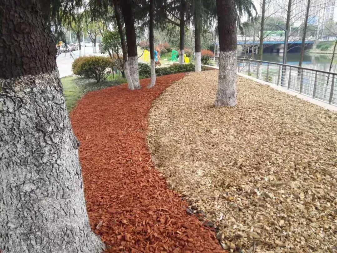 无锡市领导莅临昆山合纵生态参观指导