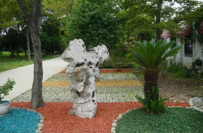 无锡市领导莅临昆山合纵生态参观指导