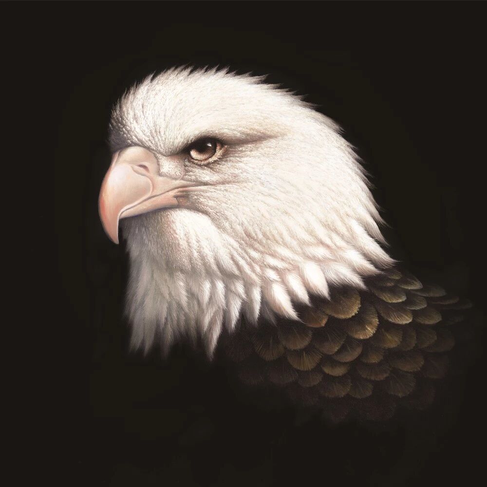 深圳市名雕装饰股份有限公司