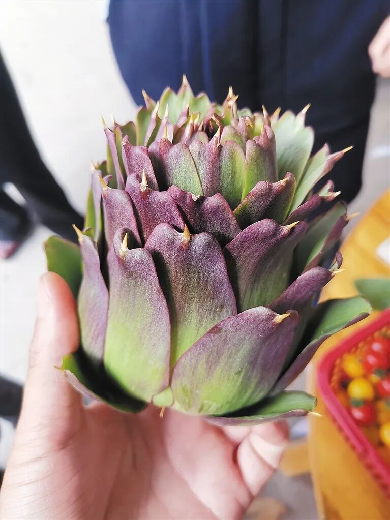 我市兩農(nóng)場(chǎng)列入省高品質(zhì)綠色科技示范基地(圖5)