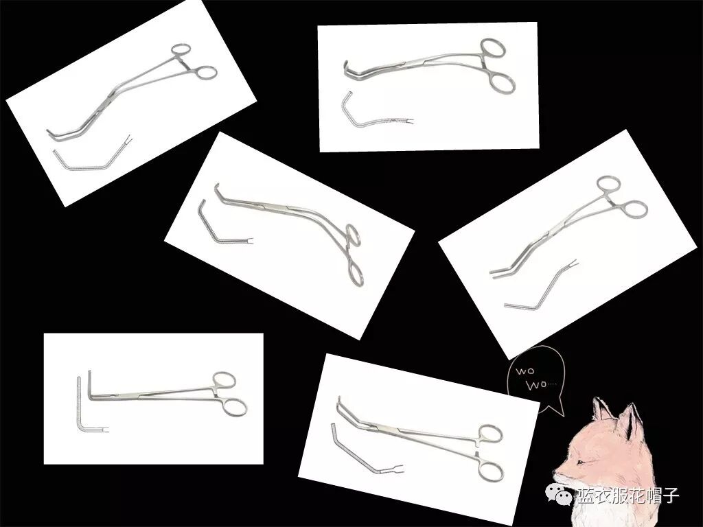 卵圆钳怎么持胸外科手术器械大汇总_https://www.jmylbn.com_新闻资讯_第11张