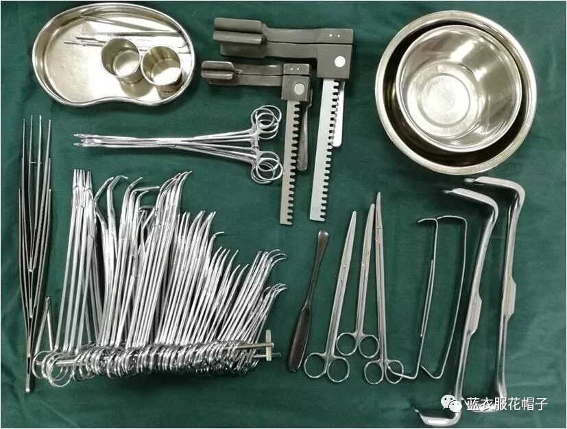 卵圆钳怎么持胸外科手术器械大汇总_https://www.jmylbn.com_新闻资讯_第4张