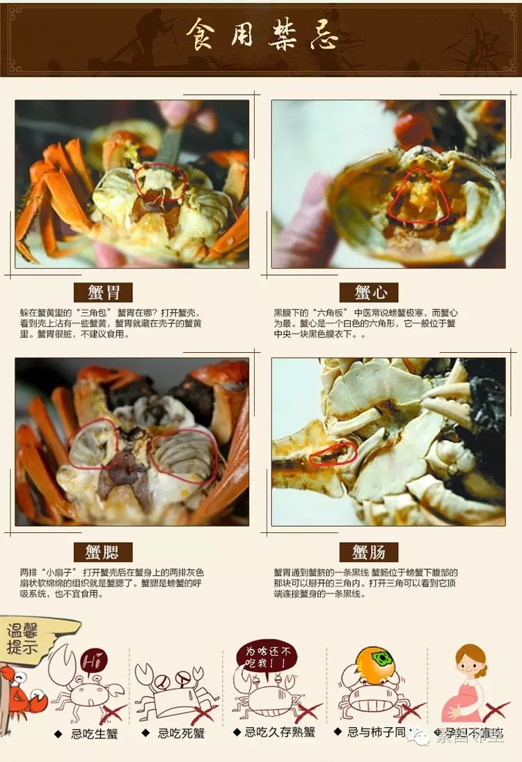 【苏州螃蟹批发价格联盟】美食:正宗太湖大闸蟹在繁昌城北市场鲜活