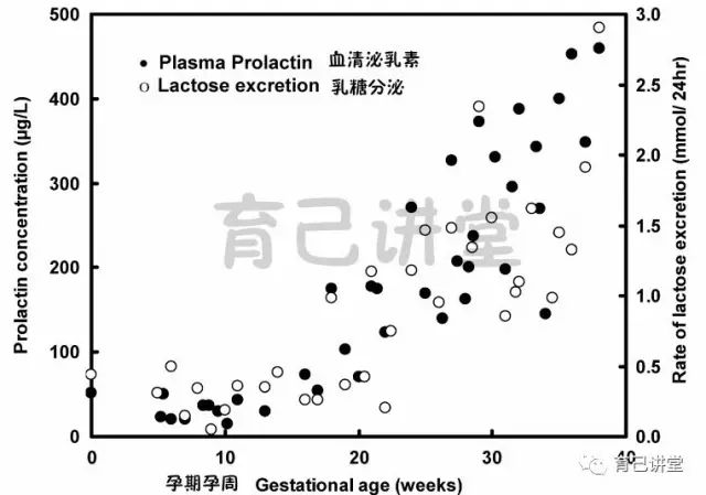 玩转泌乳 一文读懂泌乳原理 育己讲堂 微信公众号文章阅读 Wemp