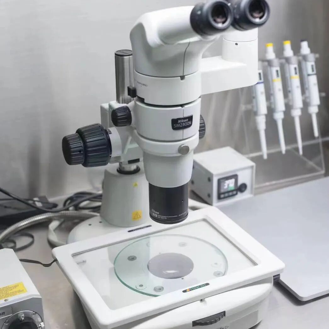 640_wx_fmt=jpeg&tp=webp&wxfrom=5&wx_lazy=1&wx_co=1.webp (14).jpg