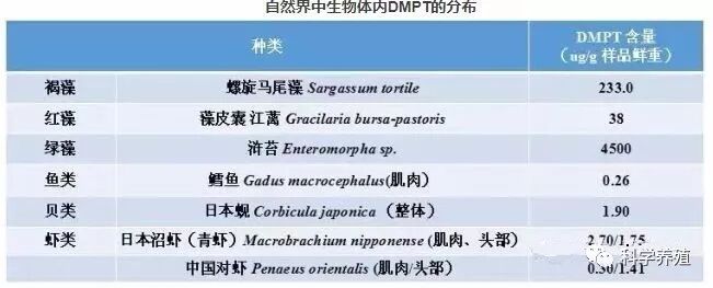 水产诱食剂——DMPT