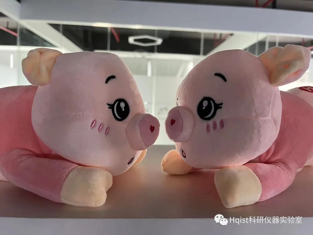 “有傳統(tǒng)，無正宗 