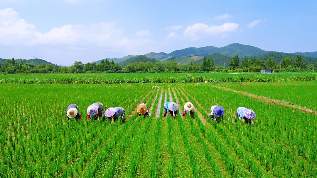 农耕如画,吴兴埭溪元素登上央视纪录片--信息新报